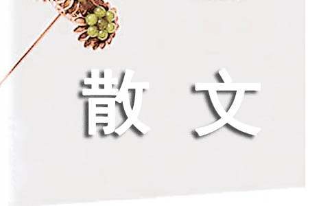  写景抒情散文随笔（精选24篇）