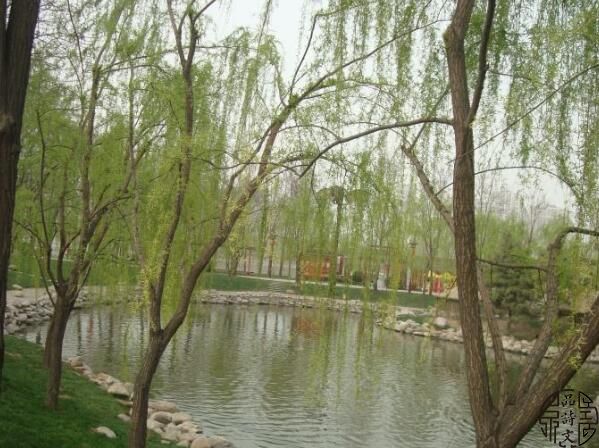  钱谦益《河间城外柳》咏柳诗