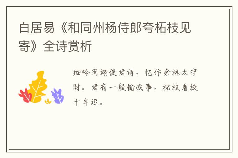  白居易《和同州杨侍郎夸柘枝见寄》全诗赏析