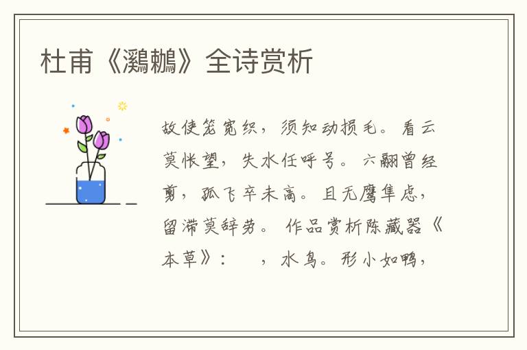  杜甫《鸂鶒》全诗赏析