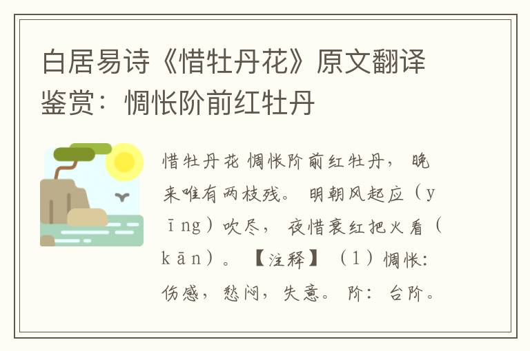  白居易诗《惜牡丹花》原文翻译鉴赏：惆怅阶前红牡丹