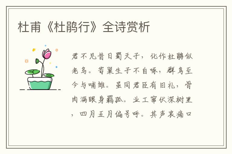  杜甫《杜鹃行》全诗赏析