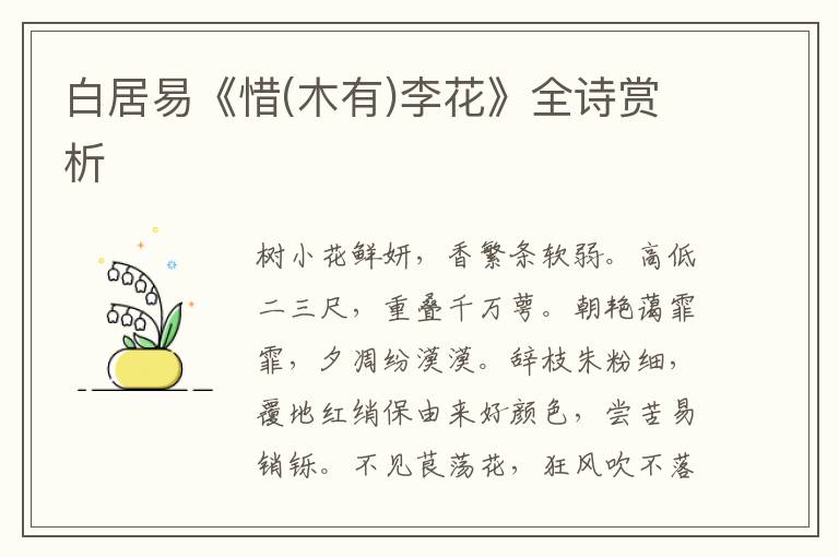  白居易《惜(木有)李花》全诗赏析