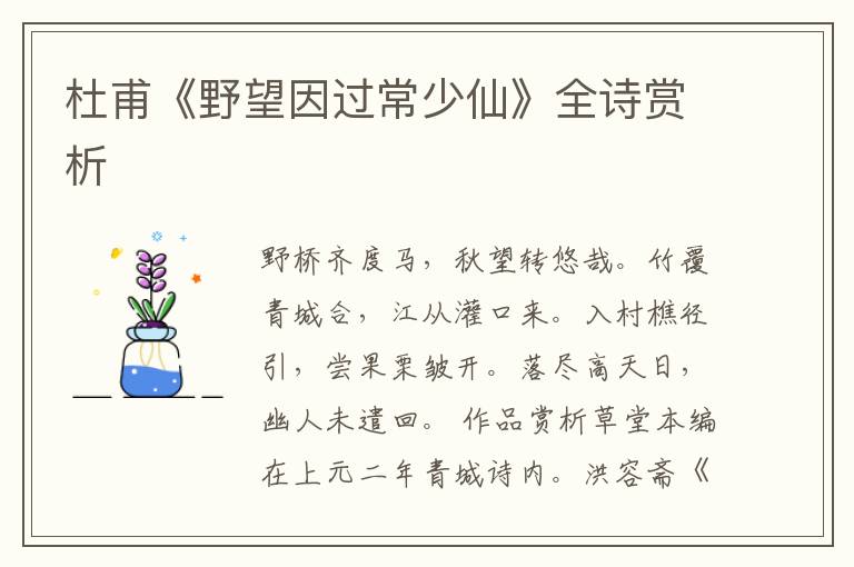  杜甫《野望因过常少仙》全诗赏析