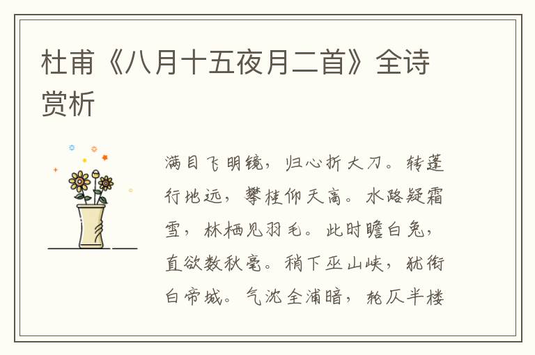  杜甫《八月十五夜月二首》全诗赏析