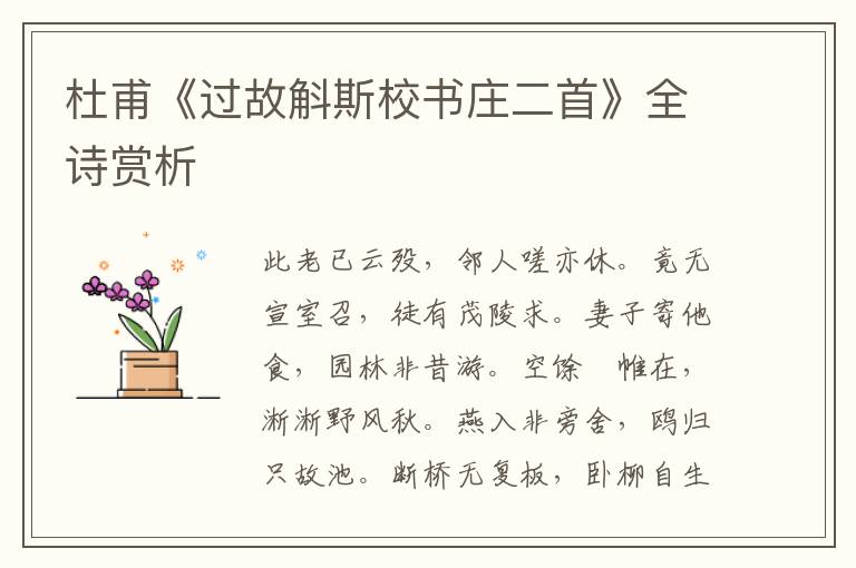  杜甫《过故斛斯校书庄二首》全诗赏析