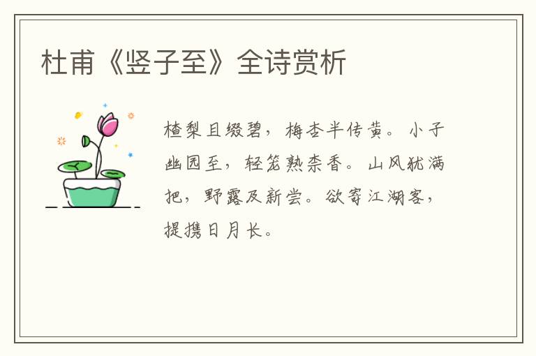  杜甫《竖子至》全诗赏析