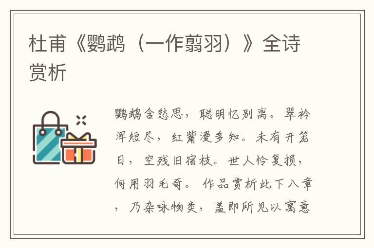  杜甫《鹦鹉（一作翦羽）》全诗赏析