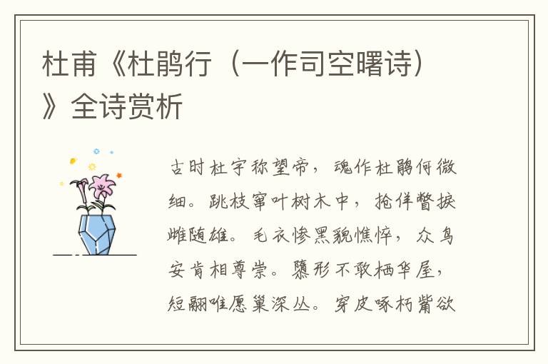  杜甫《杜鹃行（一作司空曙诗）》全诗赏析