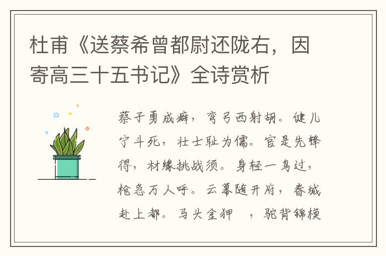  杜甫《送蔡希曾都尉还陇右，因寄高三十五书记》全诗赏析