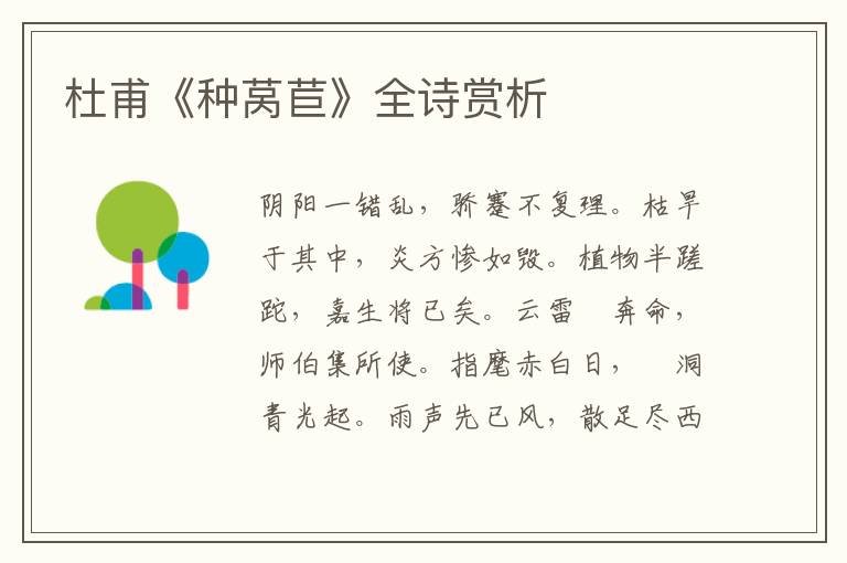  杜甫《种莴苣》全诗赏析