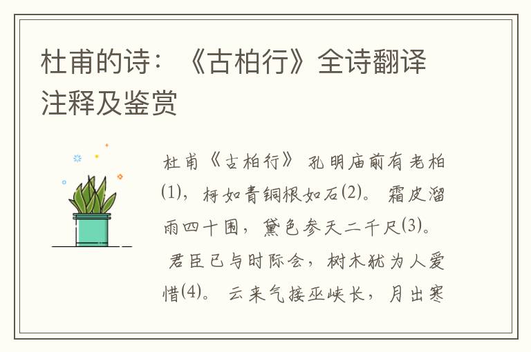  杜甫的诗：《古柏行》全诗翻译注释及鉴赏