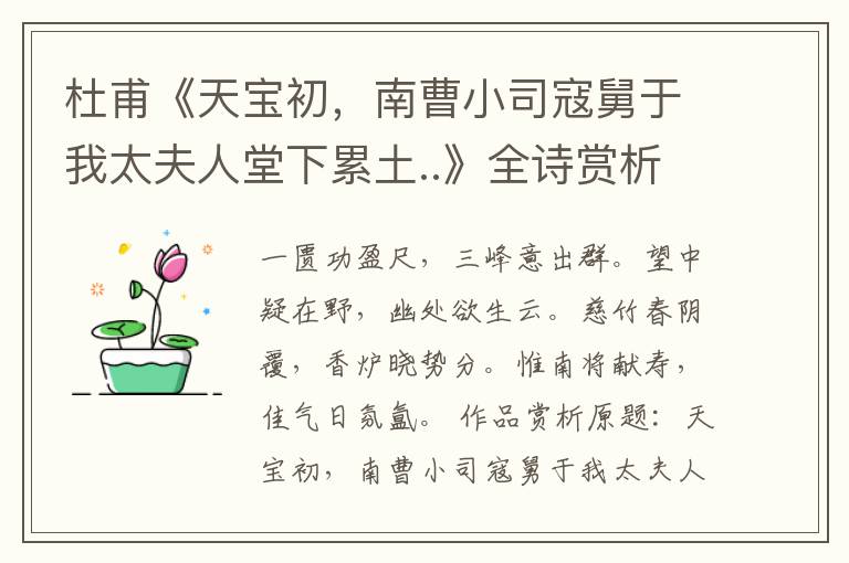  杜甫《天宝初，南曹小司寇舅于我太夫人堂下累土..》全诗赏析