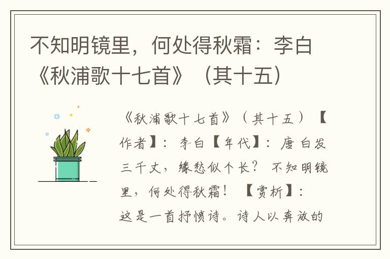  不知明镜里，何处得秋霜：李白《秋浦歌十七首》（其十五）