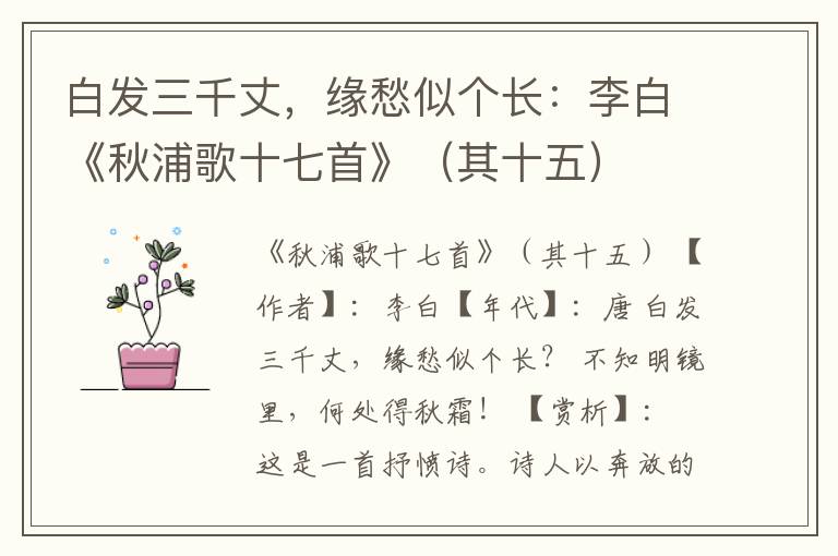  白发三千丈，缘愁似个长：李白《秋浦歌十七首》（其十五）
