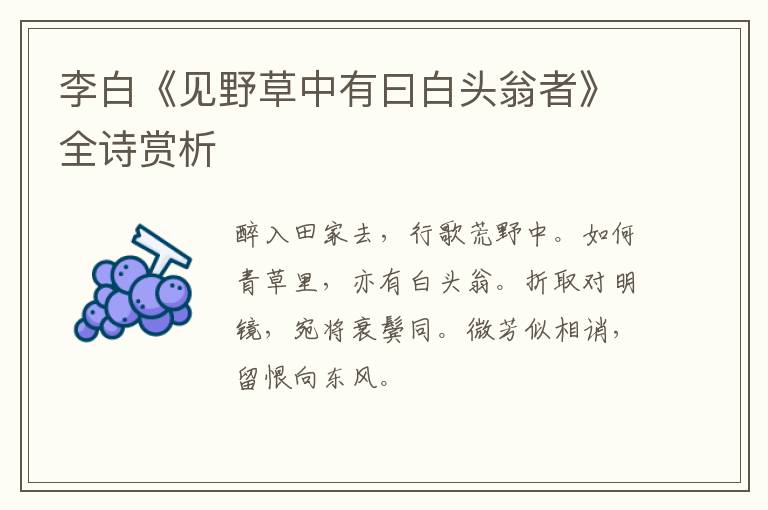  李白《见野草中有曰白头翁者》全诗赏析