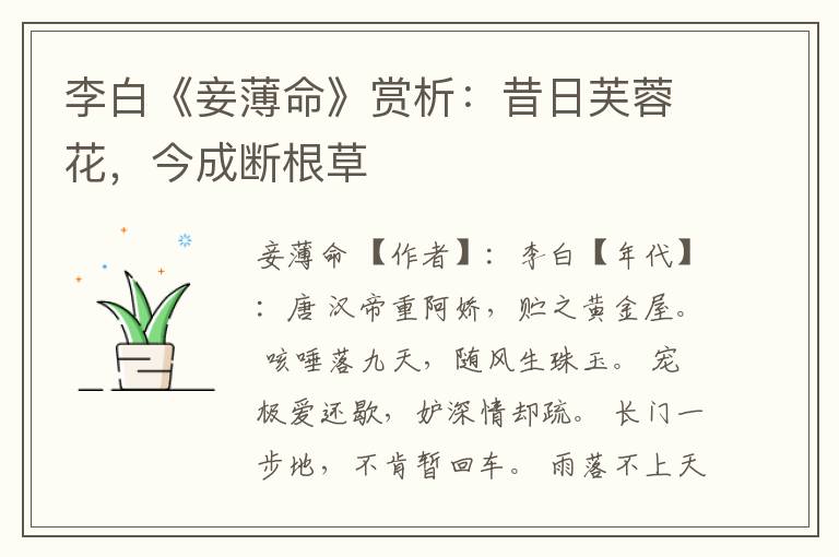  李白《妾薄命》赏析：昔日芙蓉花，今成断根草