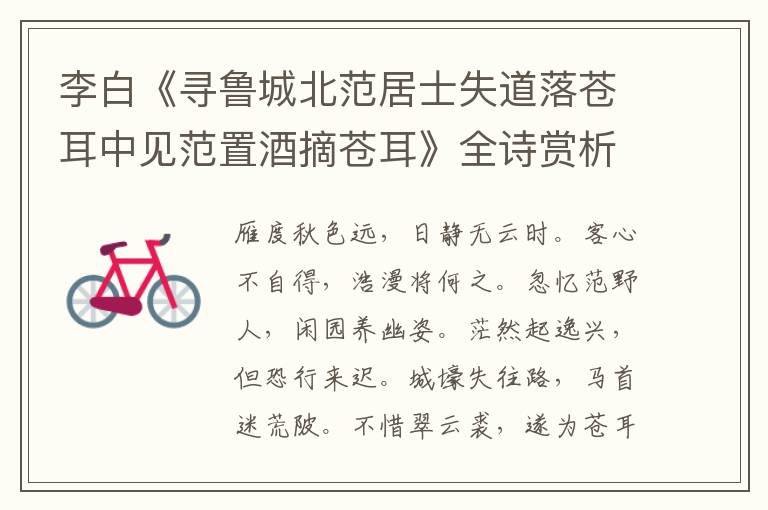  李白《寻鲁城北范居士失道落苍耳中见范置酒摘苍耳》全诗赏析