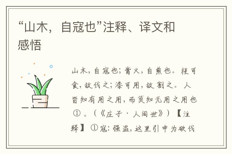  “山木，自寇也”注释、译文和感悟