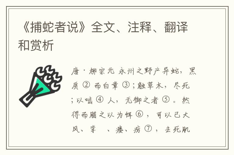  《捕蛇者说》全文、注释、翻译和赏析
