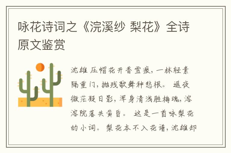  咏花诗词之《浣溪纱 梨花》全诗原文鉴赏