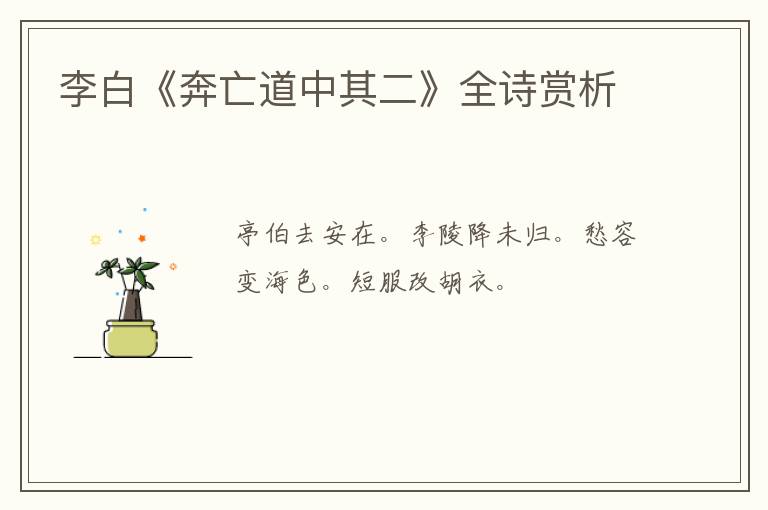  李白《奔亡道中其二》全诗赏析