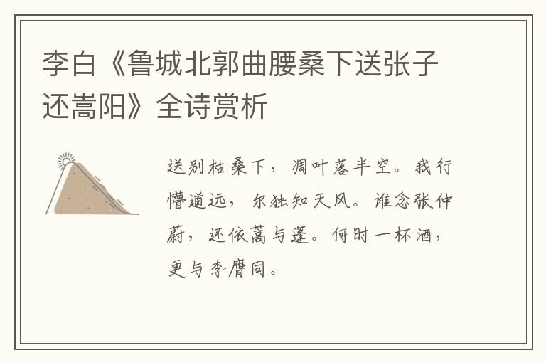  李白《鲁城北郭曲腰桑下送张子还嵩阳》全诗赏析