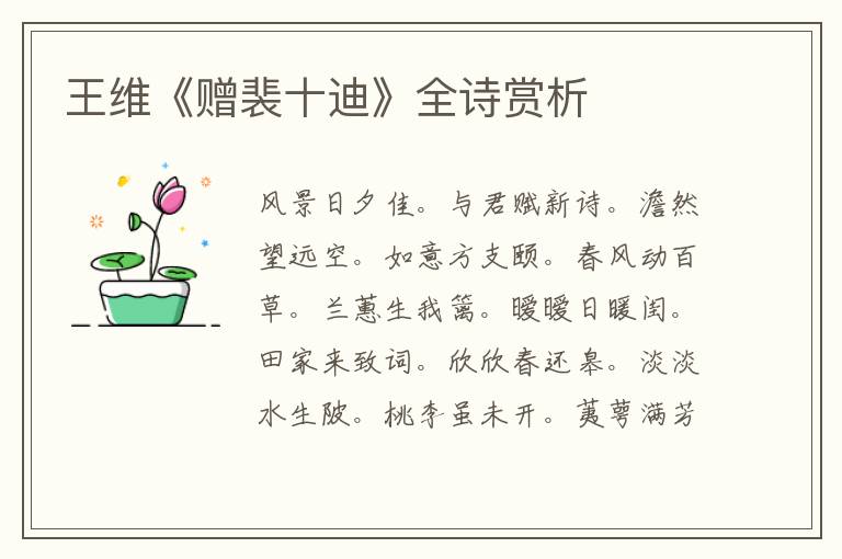  王维《赠裴十迪》全诗赏析