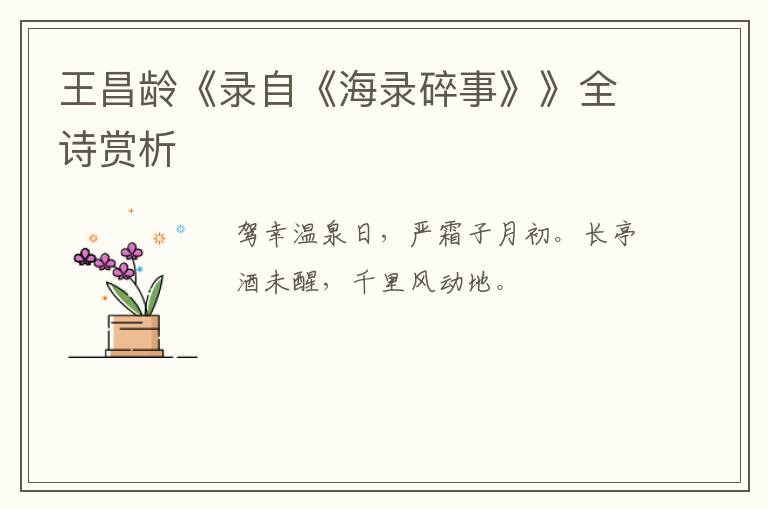  王昌龄《录自《海录碎事》》全诗赏析