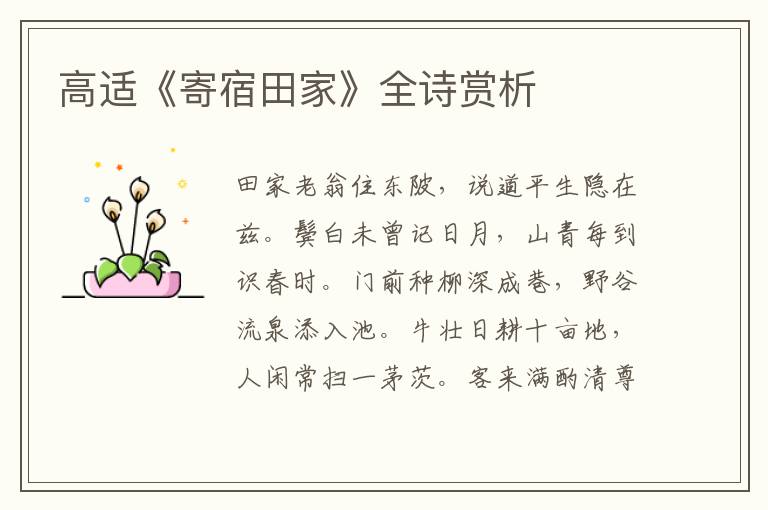  高适《寄宿田家》全诗赏析