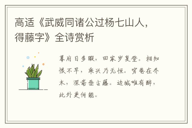  高适《武威同诸公过杨七山人，得藤字》全诗赏析