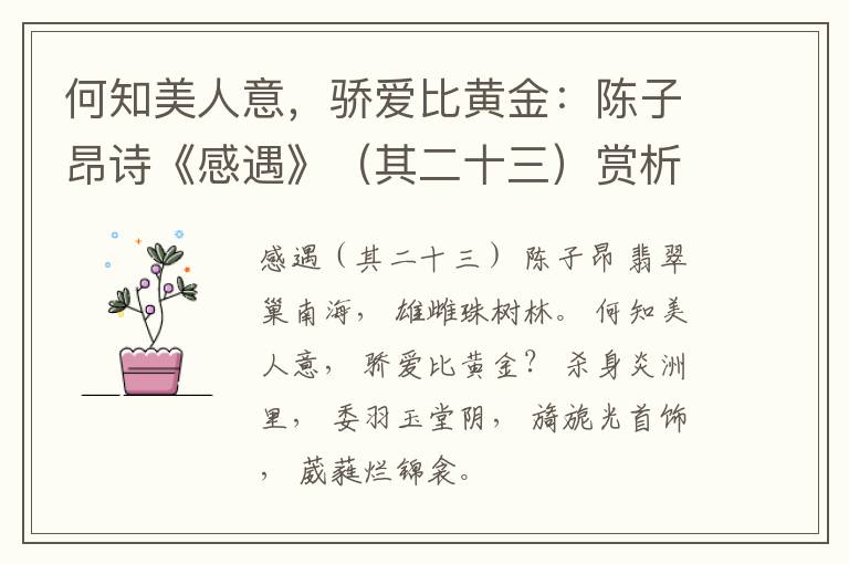  何知美人意，骄爱比黄金：陈子昂诗《感遇》（其二十三）赏析