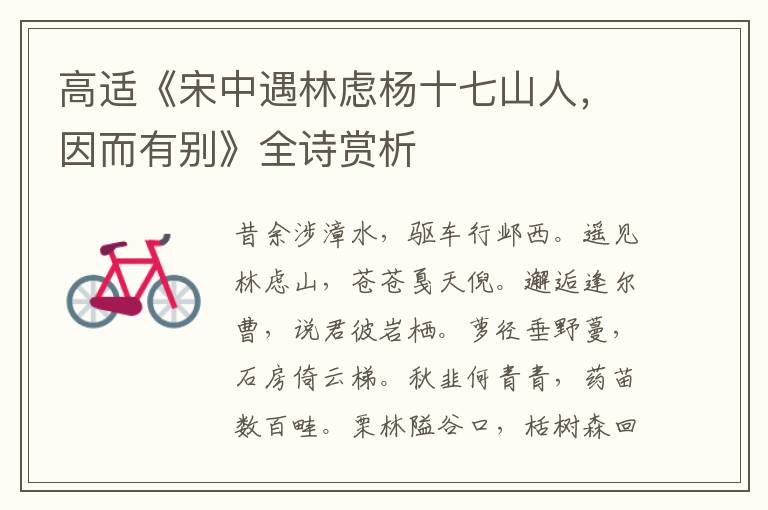  高适《宋中遇林虑杨十七山人，因而有别》全诗赏析