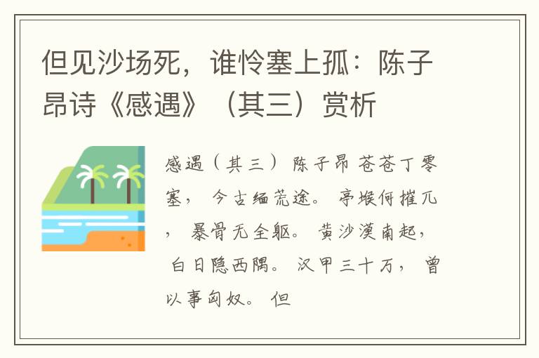  但见沙场死，谁怜塞上孤：陈子昂诗《感遇》（其三）赏析