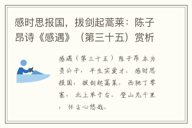  感时思报国，拔剑起蒿莱：陈子昂诗《感遇》（第三十五）赏析