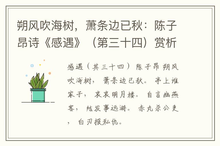  朔风吹海树，萧条边已秋：陈子昂诗《感遇》（第三十四）赏析