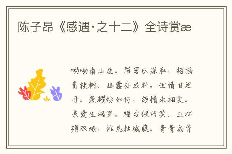  陈子昂《感遇·之十二》全诗赏析