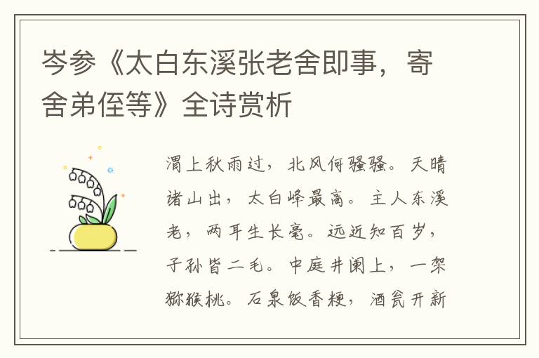  岑参《太白东溪张老舍即事，寄舍弟侄等》全诗赏析