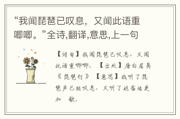  “我闻琵琶已叹息，又闻此语重唧唧。”全诗,翻译,意思,上一句和下一句