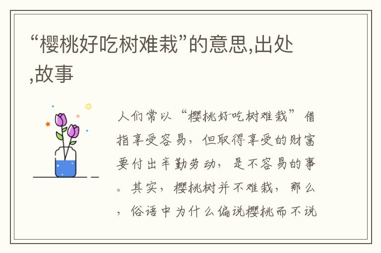  “樱桃好吃树难栽”的意思,出处,故事
