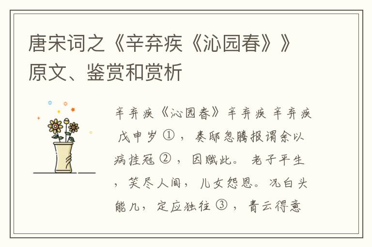  唐宋词之《辛弃疾《沁园春》》原文、鉴赏和赏析