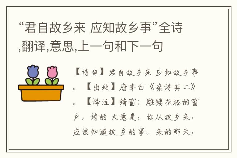  “君自故乡来 应知故乡事”全诗,翻译,意思,上一句和下一句