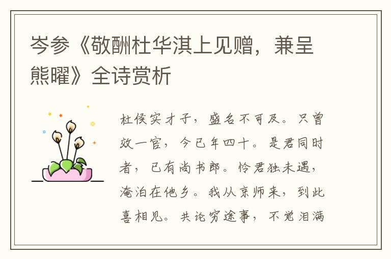  岑参《敬酬杜华淇上见赠，兼呈熊曜》全诗赏析