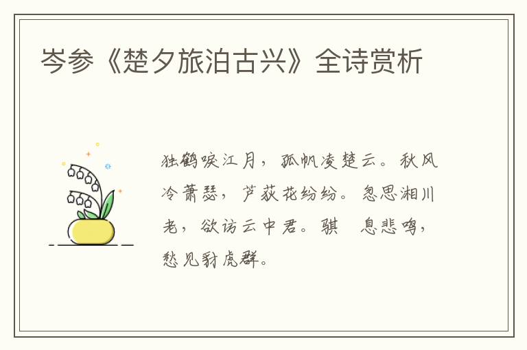  岑参《楚夕旅泊古兴》全诗赏析