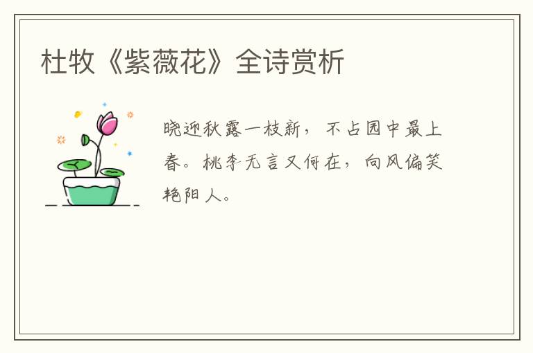  杜牧《紫薇花》全诗赏析