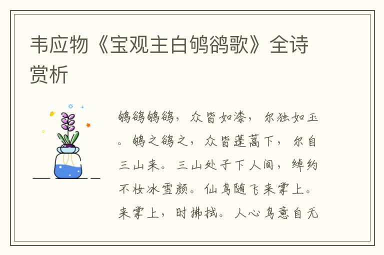  韦应物《宝观主白鸲鹆歌》全诗赏析