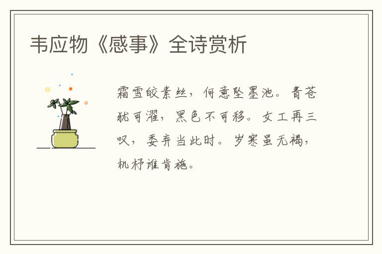  韦应物《感事》全诗赏析
