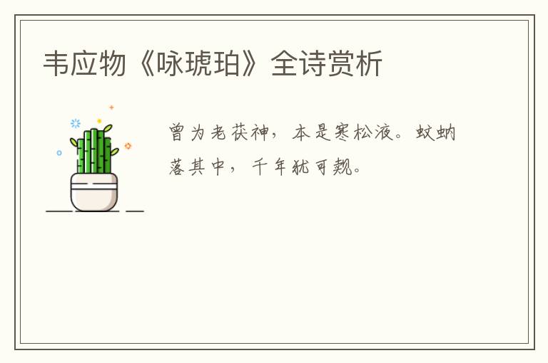  韦应物《咏琥珀》全诗赏析