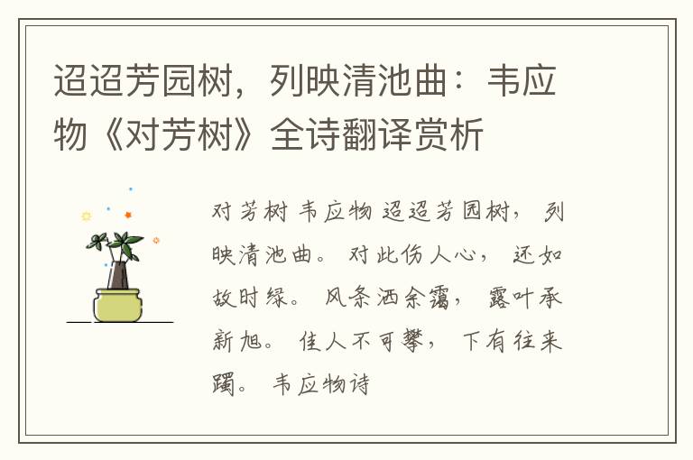  迢迢芳园树，列映清池曲：韦应物《对芳树》全诗翻译赏析