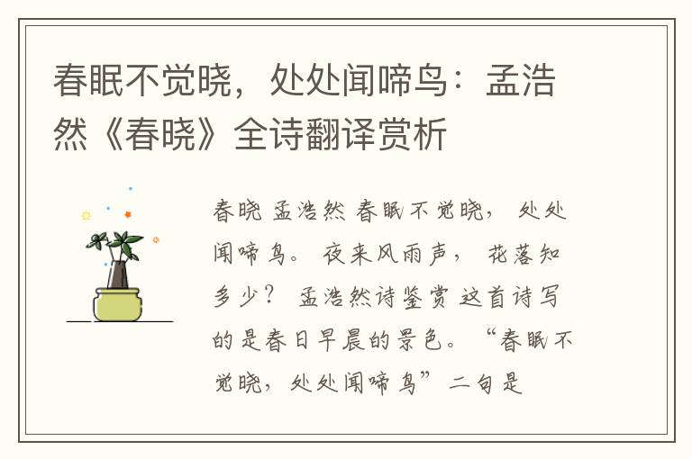  春眠不觉晓，处处闻啼鸟：孟浩然《春晓》全诗翻译赏析
